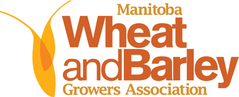 Manitoba Wheat and Barley